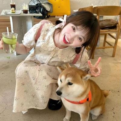 胖子的铁皮缠结
